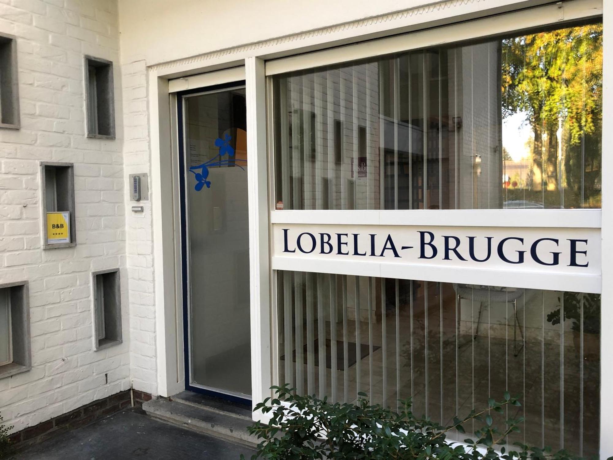 Lobelia-brugge Bruges